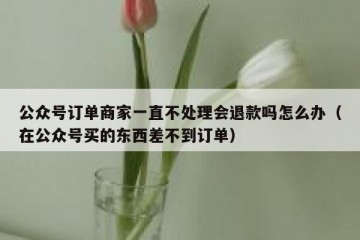 公众号订单商家一直不处理会退款吗怎么办（在公众号买的东西差不到订单）