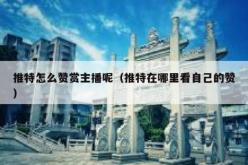 推特怎么赞赏主播呢（推特在哪里看自己的赞）