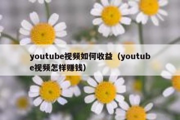 youtube视频如何收益（youtube视频怎样赚钱）