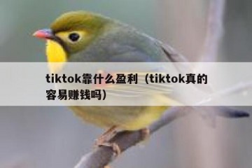 tiktok靠什么盈利（tiktok真的容易赚钱吗）