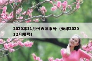 2020年11月份天津限号（天津202012月限号）