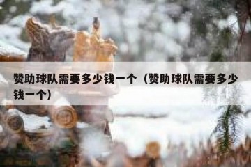 赞助球队需要多少钱一个（赞助球队需要多少钱一个）