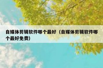 自媒体剪辑软件哪个最好（自媒体剪辑软件哪个最好免费）