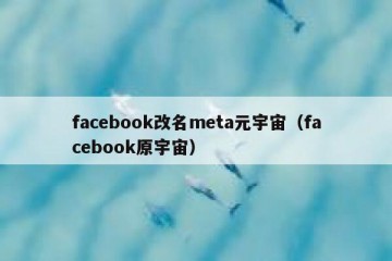 facebook改名meta元宇宙（facebook原宇宙）