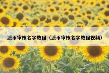 派币审核名字教程（派币审核名字教程视频）