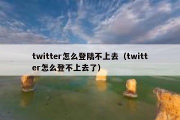 twitter怎么登陆不上去（twitter怎么登不上去了）