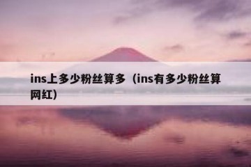 ins上多少粉丝算多（ins有多少粉丝算网红）