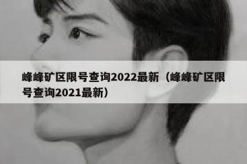 峰峰矿区限号查询2022最新（峰峰矿区限号查询2021最新）