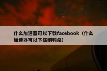 什么加速器可以下载facebook（什么加速器可以下载鹅鸭杀）