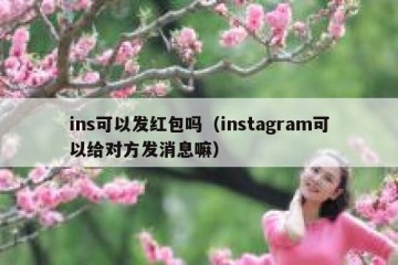 ins可以发红包吗（instagram可以给对方发消息嘛）