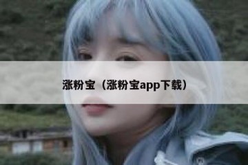 涨粉宝（涨粉宝app下载）
