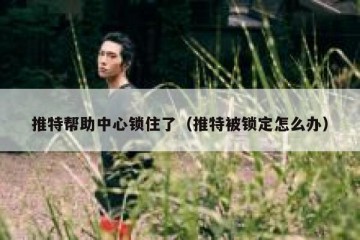 推特帮助中心锁住了（推特被锁定怎么办）