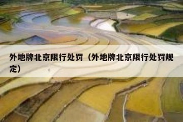 外地牌北京限行处罚（外地牌北京限行处罚规定）