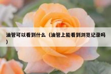 油管可以看到什么（油管上能看到浏览记录吗）