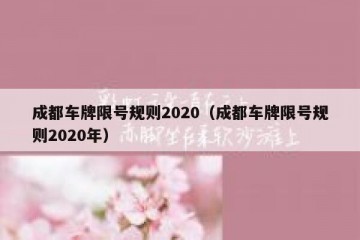 成都车牌限号规则2020（成都车牌限号规则2020年）