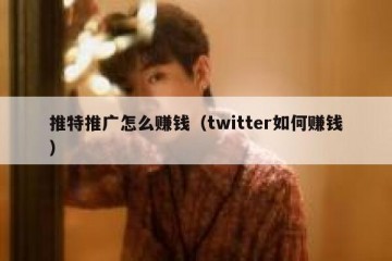 推特推广怎么赚钱（twitter如何赚钱）