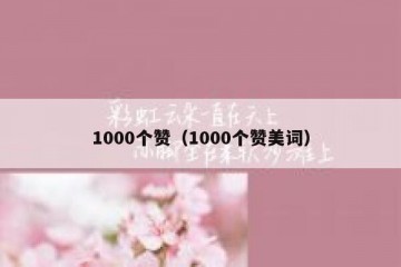 1000个赞（1000个赞美词）