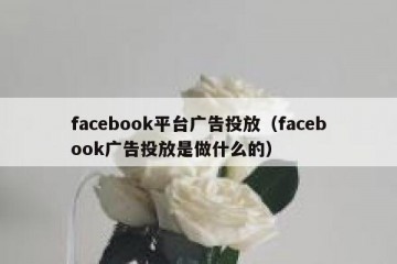 facebook平台广告投放（facebook广告投放是做什么的）