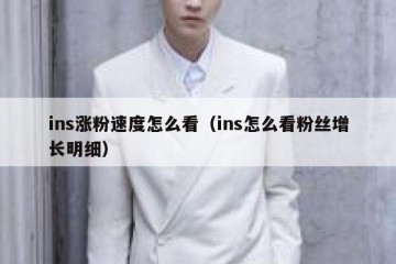 ins涨粉速度怎么看（ins怎么看粉丝增长明细）