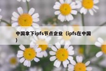 中国拿下ipfs节点企业（ipfs在中国）