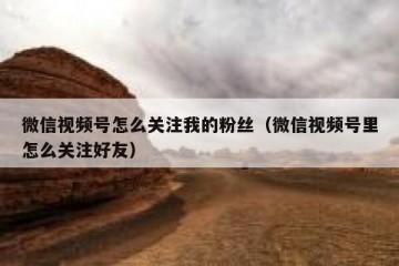 微信视频号怎么关注我的粉丝（微信视频号里怎么关注好友）
