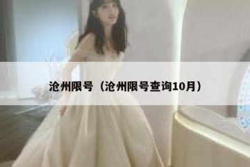 沧州限号（沧州限号查询10月）