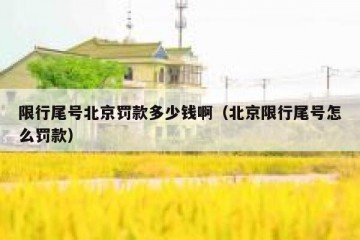 限行尾号北京罚款多少钱啊（北京限行尾号怎么罚款）