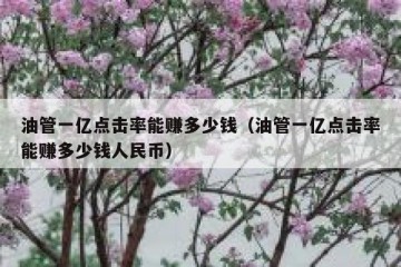 油管一亿点击率能赚多少钱（油管一亿点击率能赚多少钱人民币）