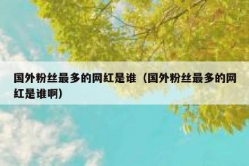 国外粉丝最多的网红是谁（国外粉丝最多的网红是谁啊）