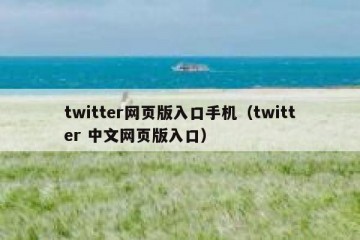 twitter网页版入口手机（twitter 中文网页版入口）
