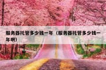 服务器托管多少钱一年（服务器托管多少钱一年啊）
