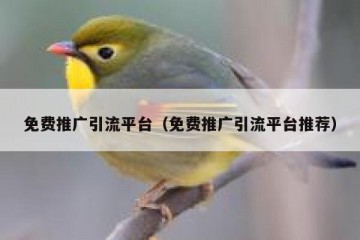 免费推广引流平台（免费推广引流平台推荐）
