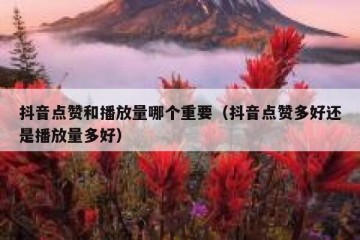 抖音点赞和播放量哪个重要（抖音点赞多好还是播放量多好）
