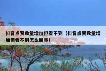 抖音点赞数量增加但看不到（抖音点赞数量增加但看不到怎么回事）