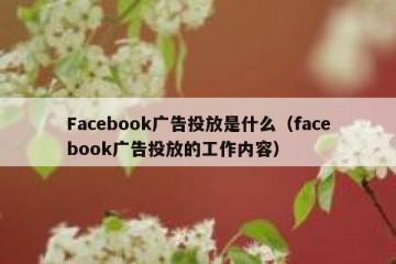 Facebook广告投放是什么（facebook广告投放的工作内容）