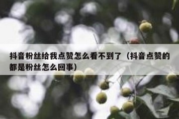 抖音粉丝给我点赞怎么看不到了（抖音点赞的都是粉丝怎么回事）