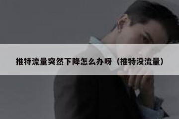 推特流量突然下降怎么办呀（推特没流量）