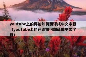 youtube上的评论如何翻译成中文字幕（youtube上的评论如何翻译成中文字幕）