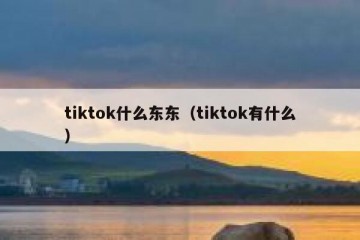 tiktok什么东东（tiktok有什么）