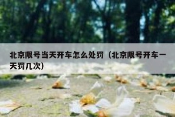 北京限号当天开车怎么处罚（北京限号开车一天罚几次）