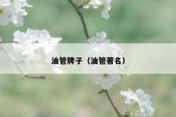 油管牌子（油管著名）