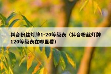 抖音粉丝灯牌1-20等级表（抖音粉丝灯牌120等级表在哪里看）