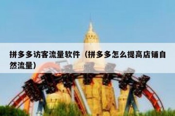 拼多多访客流量软件（拼多多怎么提高店铺自然流量）