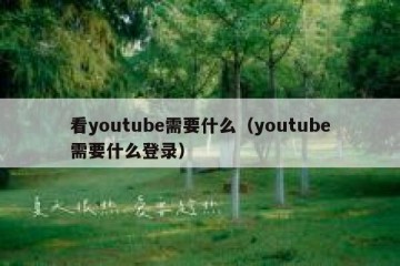 看youtube需要什么（youtube需要什么登录）