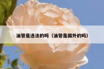 油管是违法的吗（油管是国外的吗）