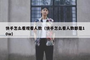 快手怎么看观看人数（快手怎么看人数都是10w）