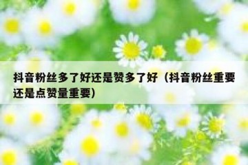 抖音粉丝多了好还是赞多了好（抖音粉丝重要还是点赞量重要）