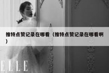 推特点赞记录在哪看（推特点赞记录在哪看啊）