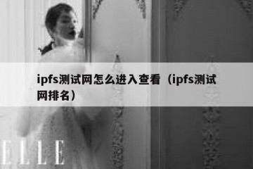 ipfs测试网怎么进入查看（ipfs测试网排名）
