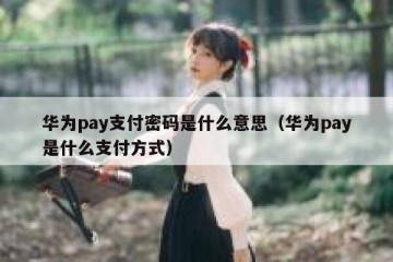 华为pay支付密码是什么意思（华为pay是什么支付方式）